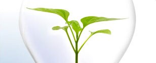 Sustainable Sourcing