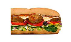 Falafel Delight