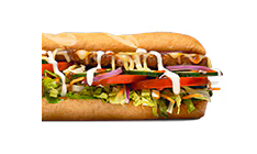 Veggie Patty