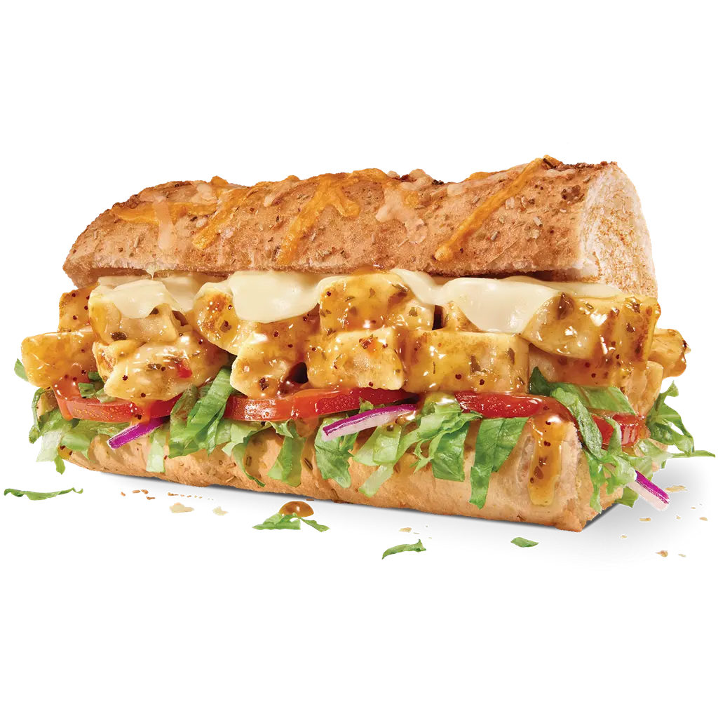 $4.99 Sub of the Day