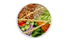 Sweet Onion Chicken Teriyaki