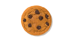 Pumpkin Spiced Cookie