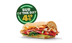 Subway Melt™