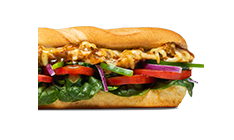 Sweet Onion Chicken Teriyaki